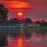 Avatar of Owais Siddiqui